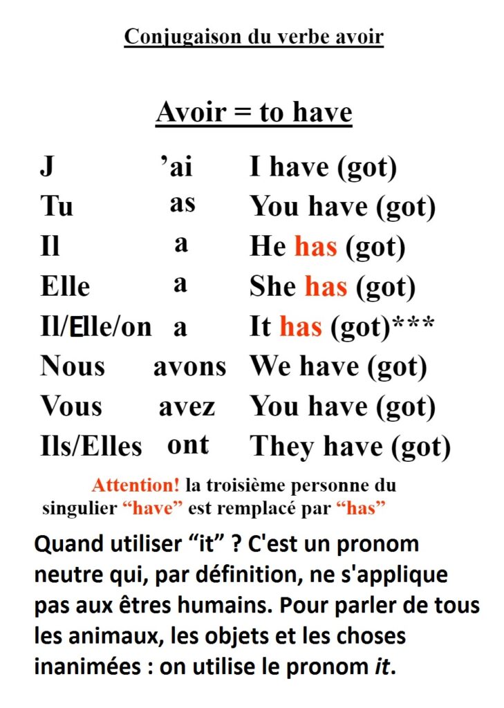 CM1 + CM2 the verb « to have » = avoir – Week of the 22nd January 2024 ...